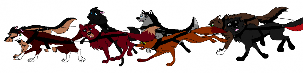 Contest Prize- Sled Team- Kayla775