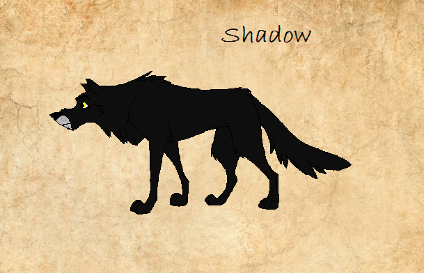 Shadow 