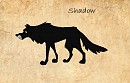 Shadow 