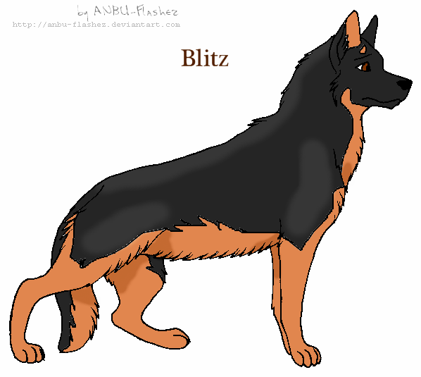 Blitz