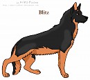 Blitz