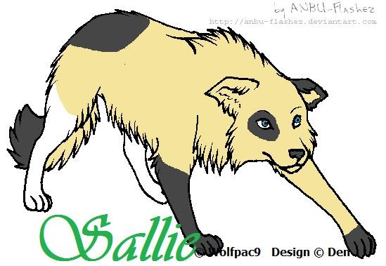 Sallie again