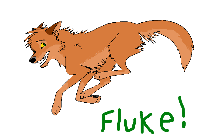 Fluke