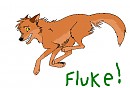 Fluke
