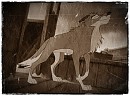 Ol' Balto's Smile
