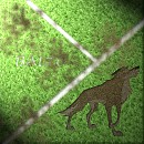 Balto Grass