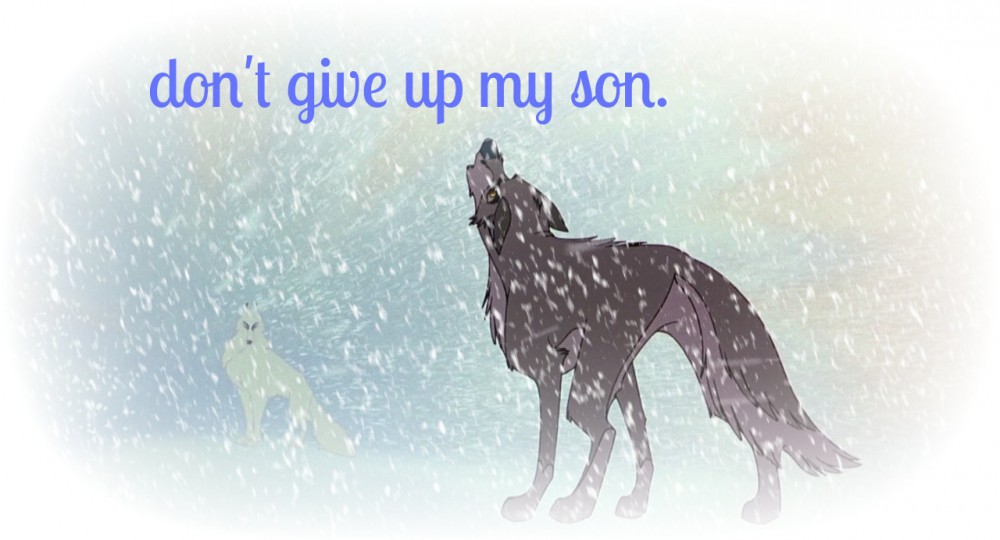 Don't give up my son.