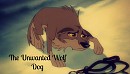 The unwanted wolf dog