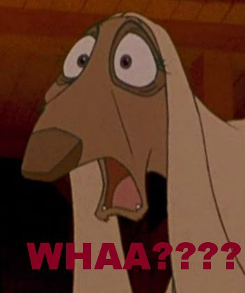 WHAA??