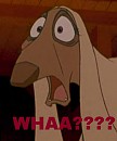 WHAA??