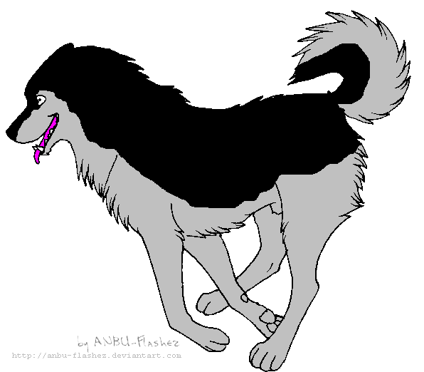 Ben! (litlewolfpup) carrie