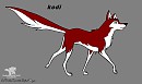kodi!!!