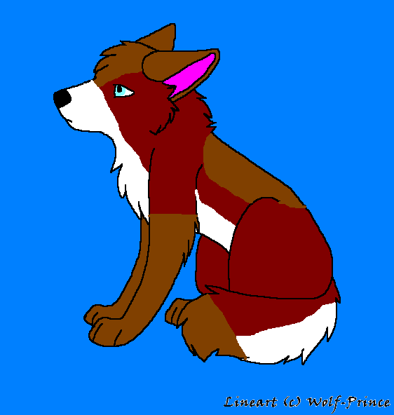seth as pup