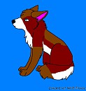 seth as pup