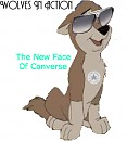 The New Face Of Converse