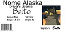 Driver's License