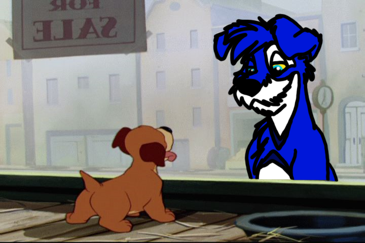 Jay lookin at a puppy