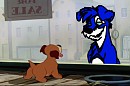 Jay lookin at a puppy