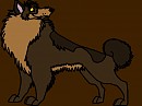 jacob