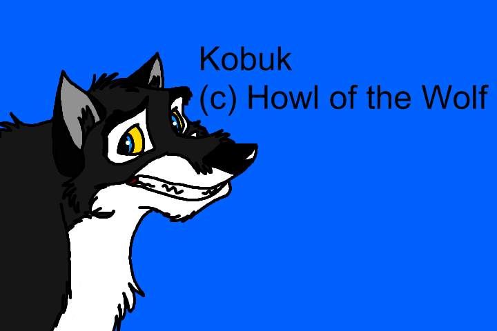kobuk for a cool dude