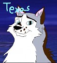 Request from Tadie 4/4: Texas