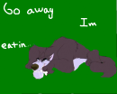 Go away