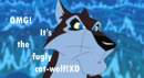 Niju the fugly cat-dog