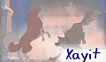 Xayit