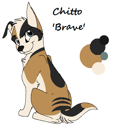 Contest Pup