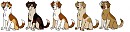 Rabbit and Delight's Pups