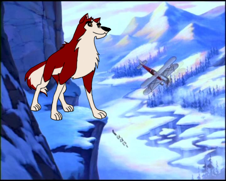 kodi tall against the pack