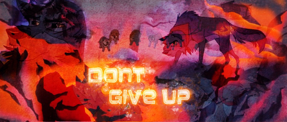 Don't giveup