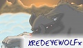 xREDEYEWOLFx
