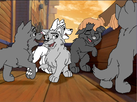Pups base *see presentation*