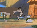 Look what Balto found