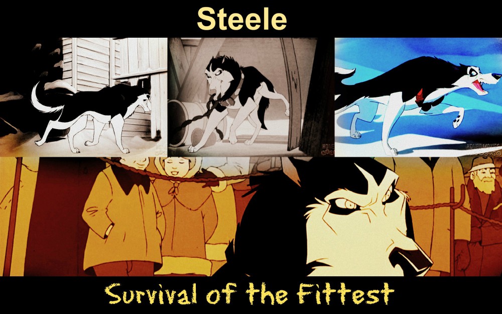 Survival of the Fittest