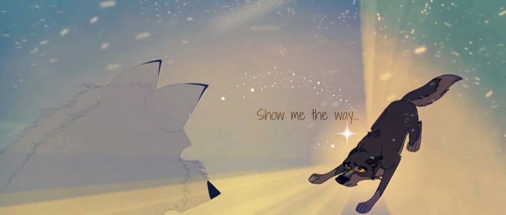 Show Me the Way