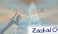 zasha10