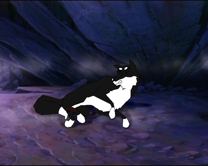 Broken leg
