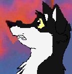 Zasha Avi