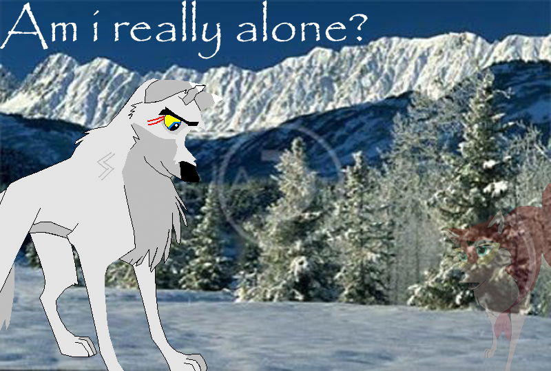 Alone in the forest?