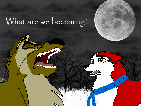 Request for Wolfhusky