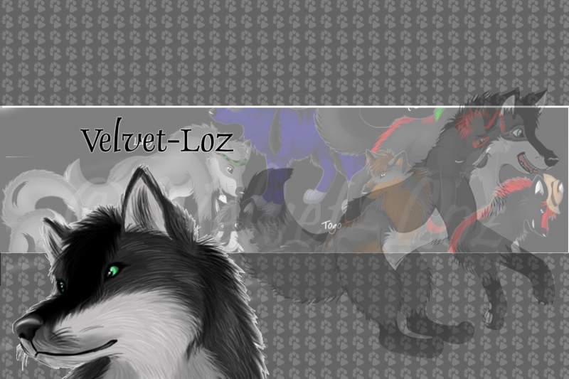 Velvet - Loz Wallpaper