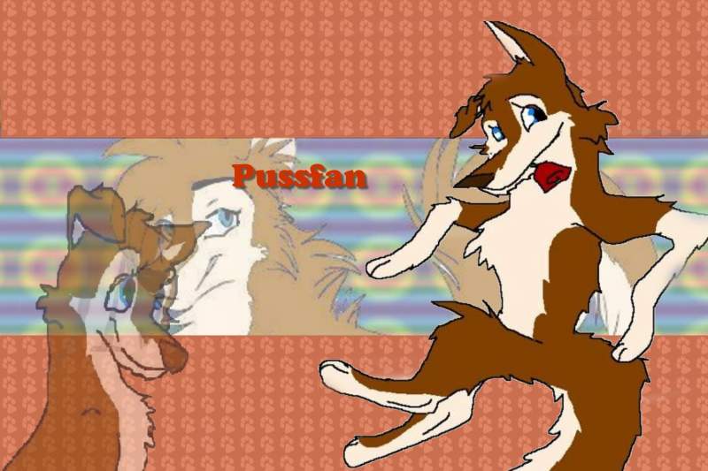 Pussfan Wallpaper Request