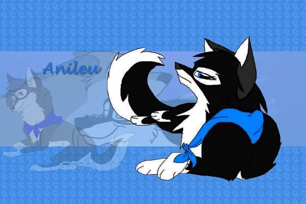 Anileu Request