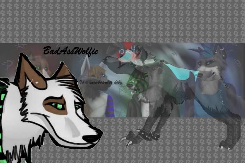 Bad Ass Wolfie: Fan Wallpaper