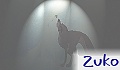 zuko