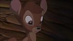 Bambi II  picture