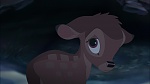 Image Bambi II 