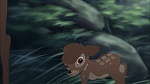 Image Bambi II 